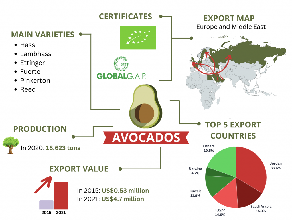 LebFresh_export_avocado_infoghraphic