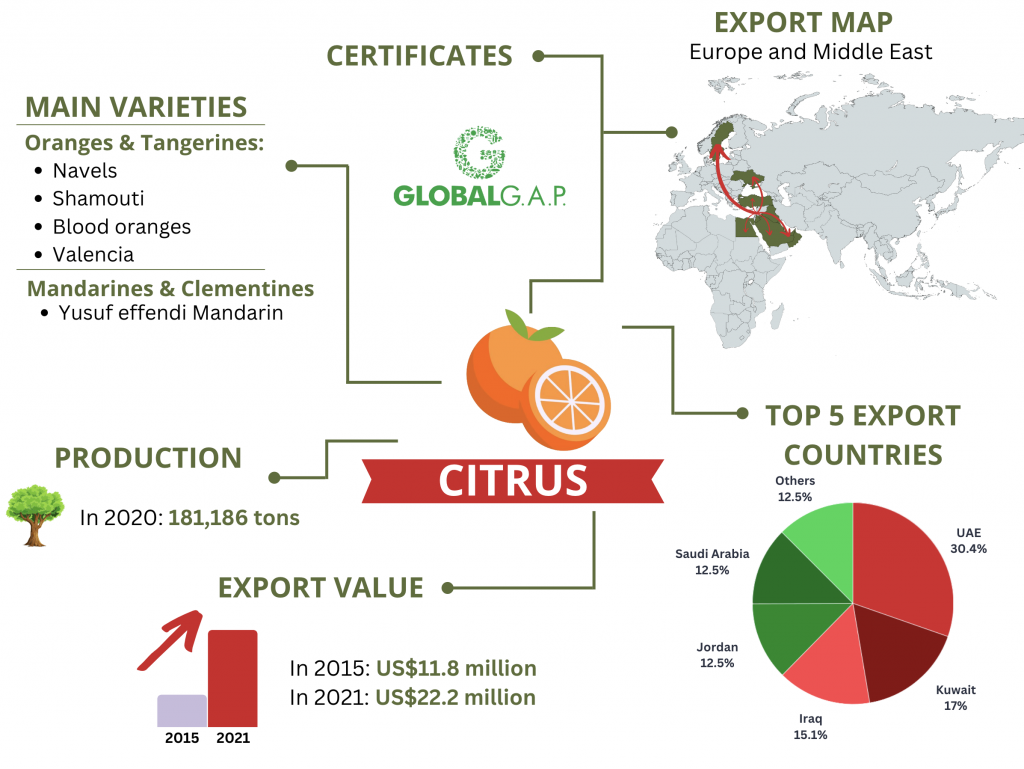LebFresh_export_citrus_infographic