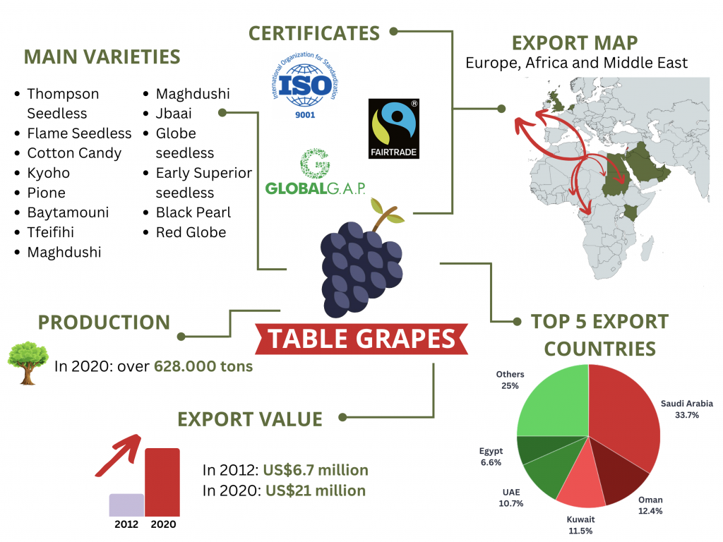LebFresh_export_tablegrapes_infographic